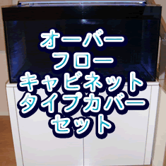 W1200�������С��ե�������ӥͥåȥ��С����å�