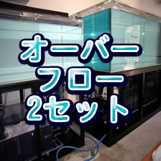 �緿�����С��ե�������2���å�