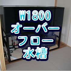 W1800�����С��ե���������ڡ�����